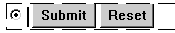 You'll need some space to enter text next to the radio button.