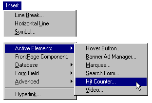 Select Hit Counter from the Insert menu