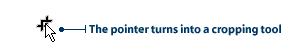 Cursor changes to the crop tool