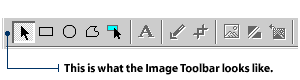 The Image Toolbar