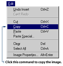 Select Copy from the Edit menu
