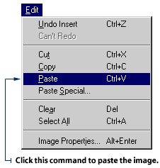 Select Paste from the Edit menu