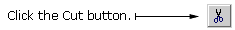 The Cut button.