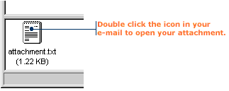 Double-click the file attachment icon to open it