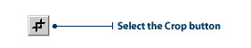 Crop button