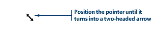 Adding a chart button
