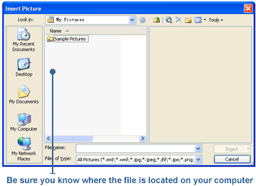 Insert Picture dialog box