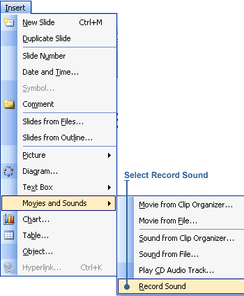 Selecting Record Sound option