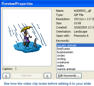 Preview/properties dialog box