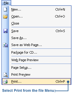 Selecting the Print command