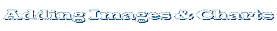 Adding Images and Charts