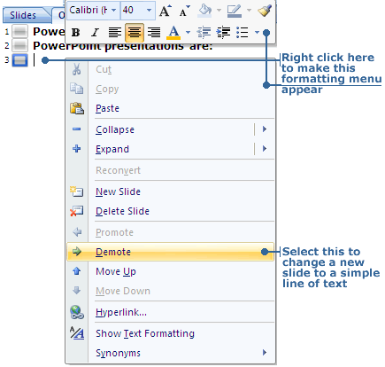 Outline View Formatting Menu