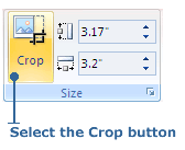 Crop button