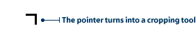 Cursor changes to the crop tool