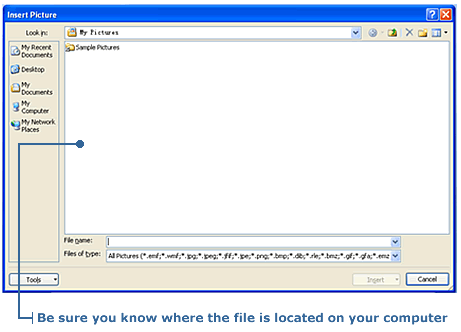 Insert Picture dialog box