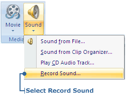 Selecting Record Sound option