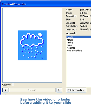 Preview/properties dialog box