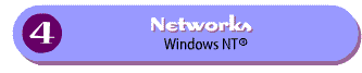 The Networks Exhibit